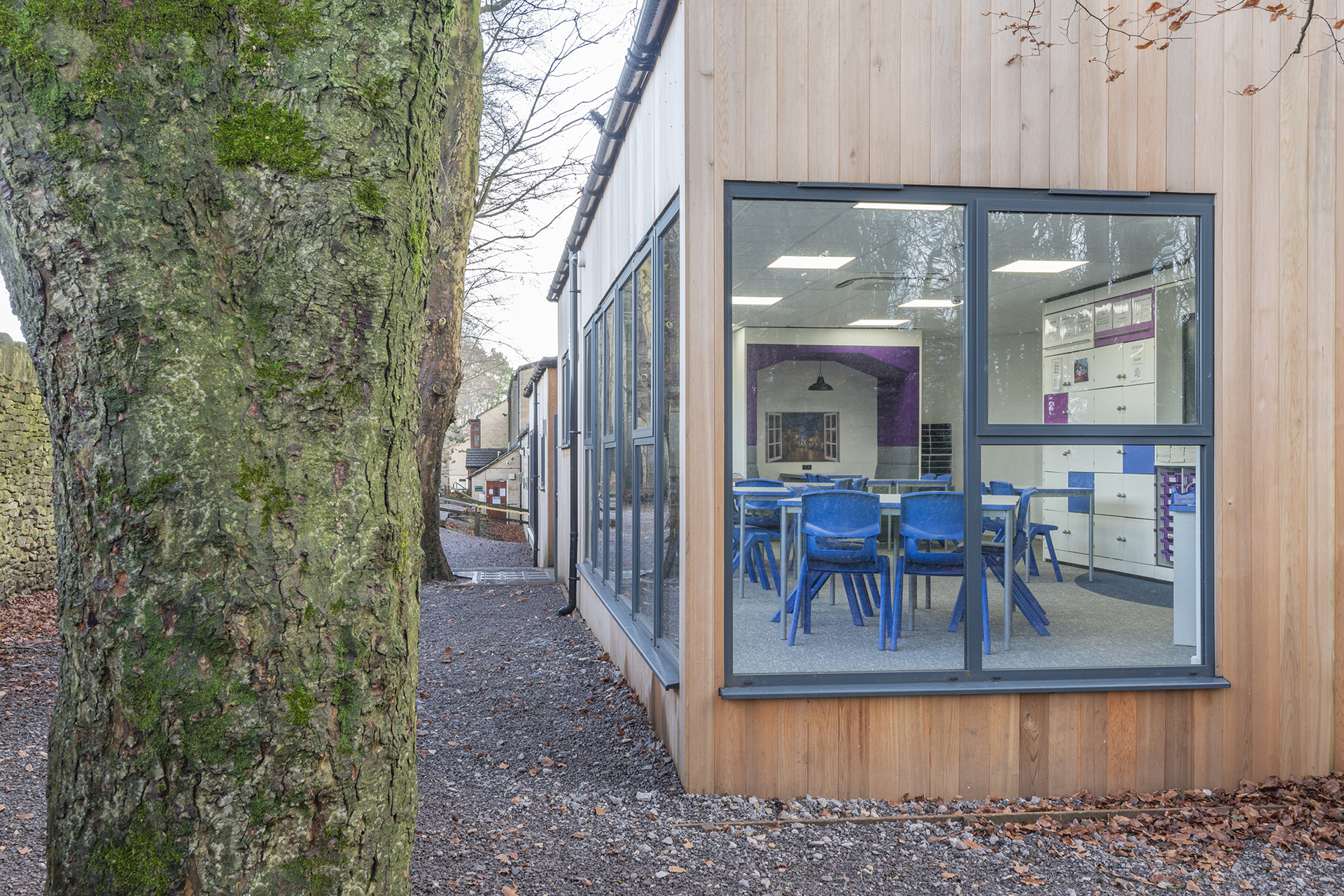 How to use natural elements in classroom design | Envoplan
