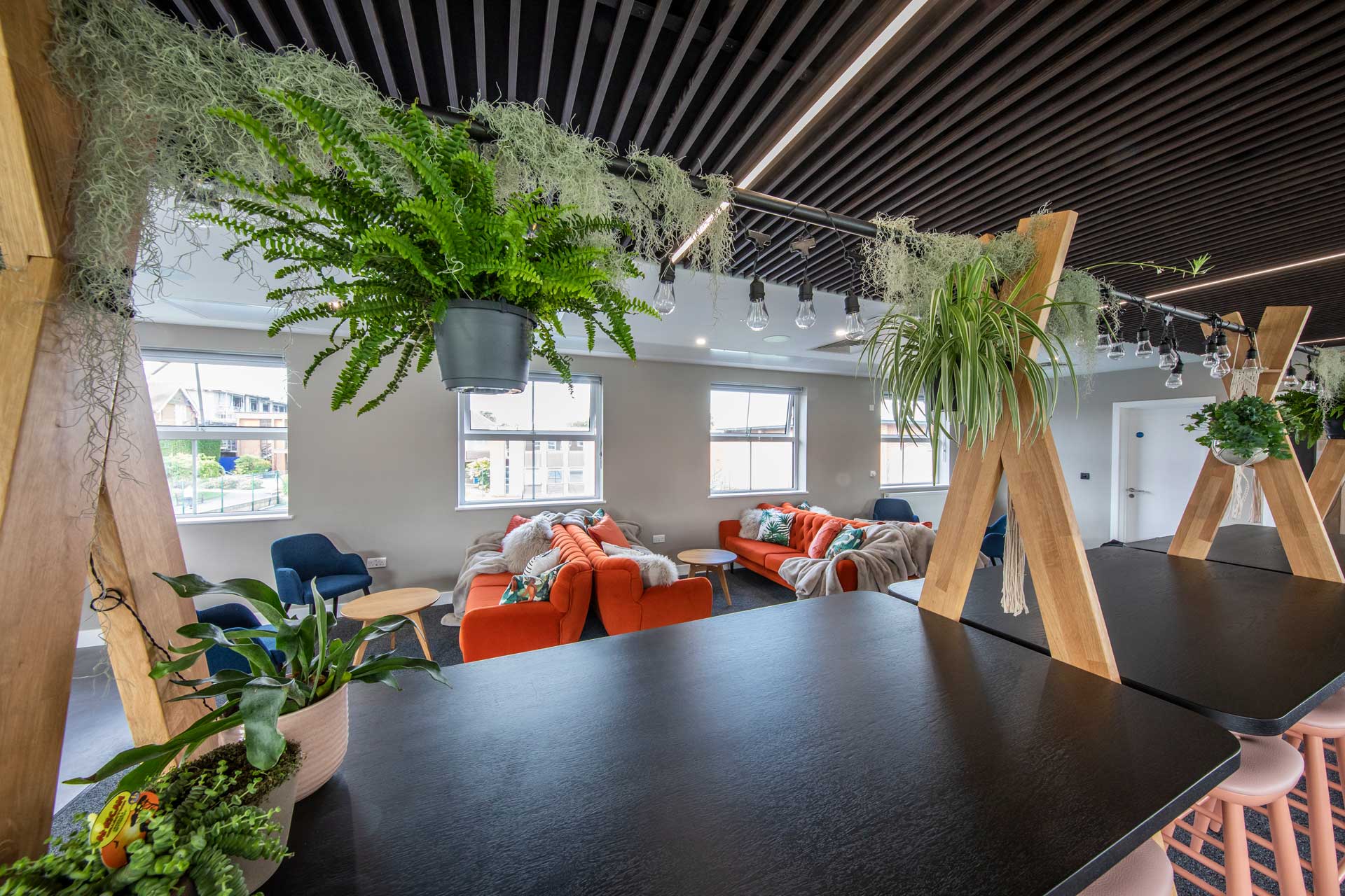 5 Reasons To Have Plants In Your Classroom